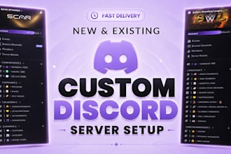 setup best discord server professionally