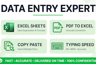 do fast data entry copy paste and pdf to excel work