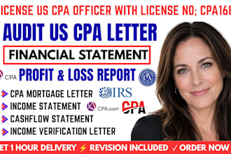 audit financial statements profit and loss balance sheet and cash flow statement
