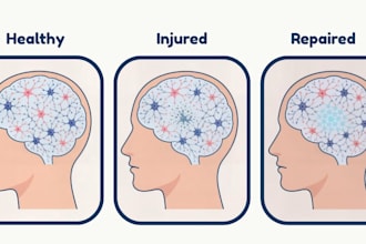 create stunning medical illustrations and presentation