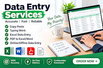 accurate excel data entry and spreadsheet work
