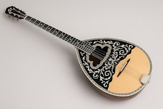 record ronroco, charango, bouzouki, ukulele, harp, mandolin, bass guitar ,cuatro