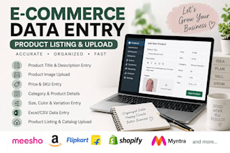 be your ecommerce data entry virtual assistant
