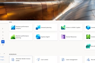 provide ms d365 finance and operations functional support