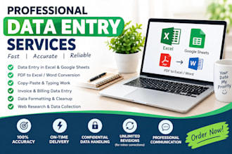 be your professional data entry operator