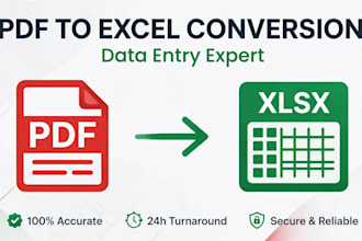 convert PDF to excel, data entry and google sheets expert