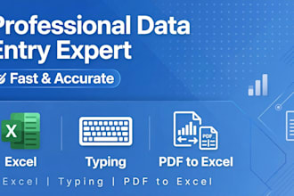 do data entry and excel typing work fast