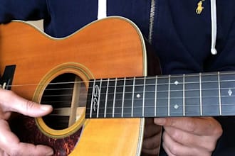 record fiddle, mandolin, banjo,dobro, guitar, harmonica, accordion for nashville