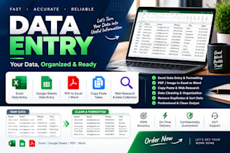 do data entry, excel data cleaning, copy paste and PDF conversion