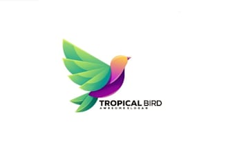 design a colorful gradient fly bird logo vector design for your brand