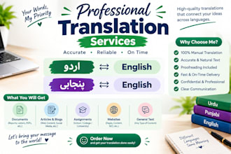 provide professional urdu english punjabi translation