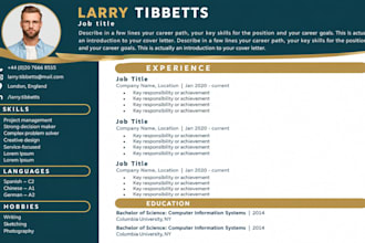 do your resume design and give it a profesional look