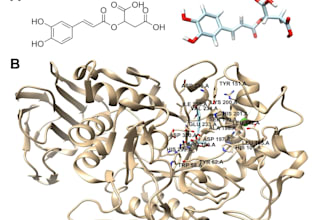 perform molecular docking and protein ligand interaction analysis