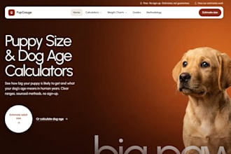 build a fast SEO optimized wordpress website or calculator tool