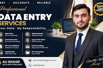 provide rapid excel data entry and web research