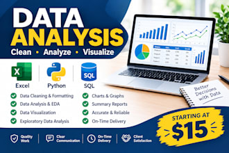 be your data analyst for excel and python