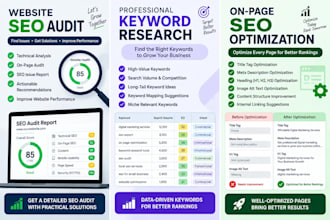 do professional on page and technical SEO for your website