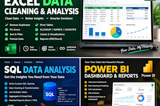 professional data analysis, excel data cleaning