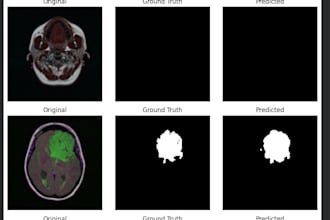 fix bugs in your unet or CNN image segmentation model