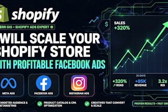 fix shopify no sales with meta ads and conversion