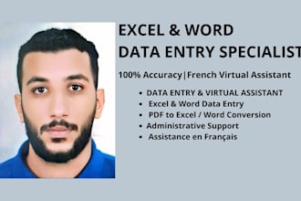 accurate excel data entry and virtual assistant tasks