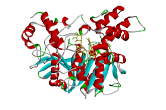 do molecular docking and virtual screening analysis