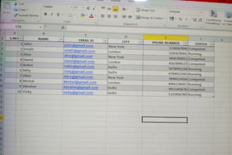 do data entry in excel sheets