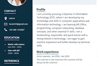 make a professional CV