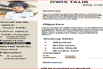 create a professional CV resume in ms word