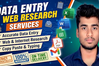 do manual data typing, copy paste work and web research