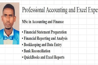 be your professional accounting and excel expert