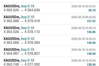 build profitable bot, trading bot, forex trading bot