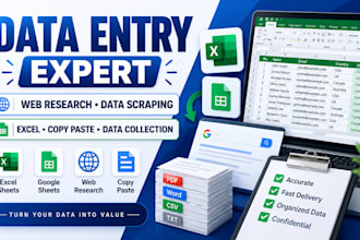 do data entry, web research, data scraping, excel and copy paste