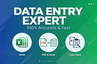 do data entry copy past excel data entry pdf to excel accurately