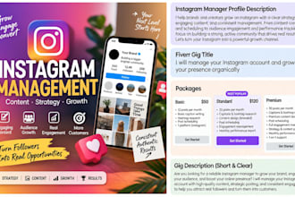 be your professional instagram manager