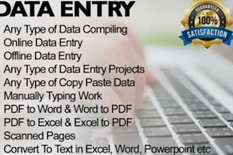 do fast copy typing pdf to word and accurate data entry