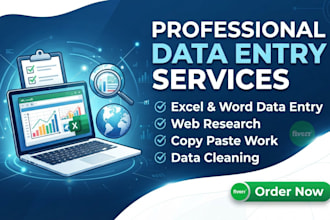 do data entry excel typing work