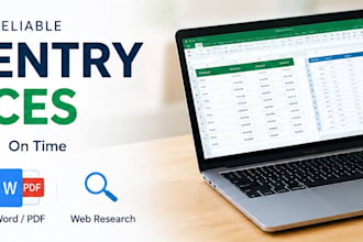 do professional data entry and excel data filtering