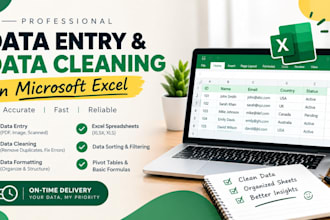 professional data cleaning and data correction