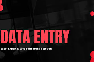 expert excel data entry and data cleaning specialist