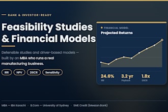 create feasibility studies and financial models for smes