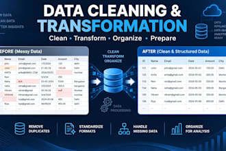 provide professional data cleaning, transformation, and organization