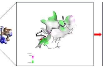 perform molecular docking and protein ligand interaction analysis