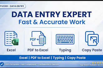 do accurate data entry, excel typing