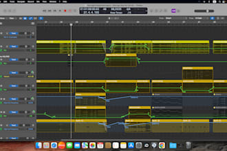 professionally mix your song to a radio ready quality