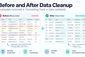 clean, organize and format excel or CSV data