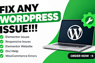 fix wordpress bugs, errors, issues, and website problems