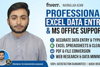 do professional excel data entry and ms office work