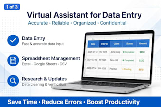 be your fast virtual assistant for data entry and typing work