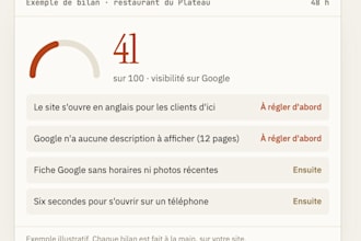 audit your local business google visibility and SEO